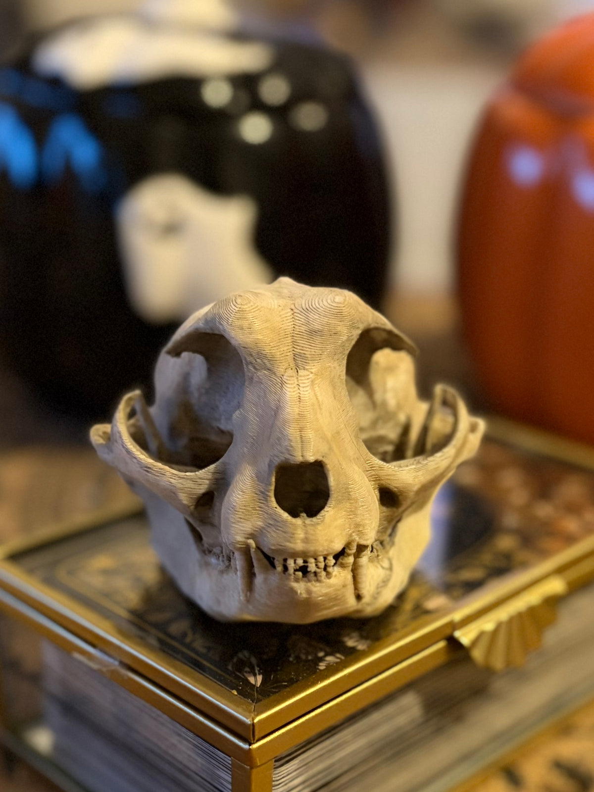 Crâne de Félin Effet Os Ancien - Réplique Décorative 3D
