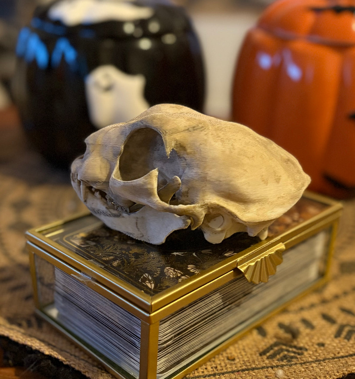 Crâne de Félin Effet Os Ancien - Réplique Décorative 3D
