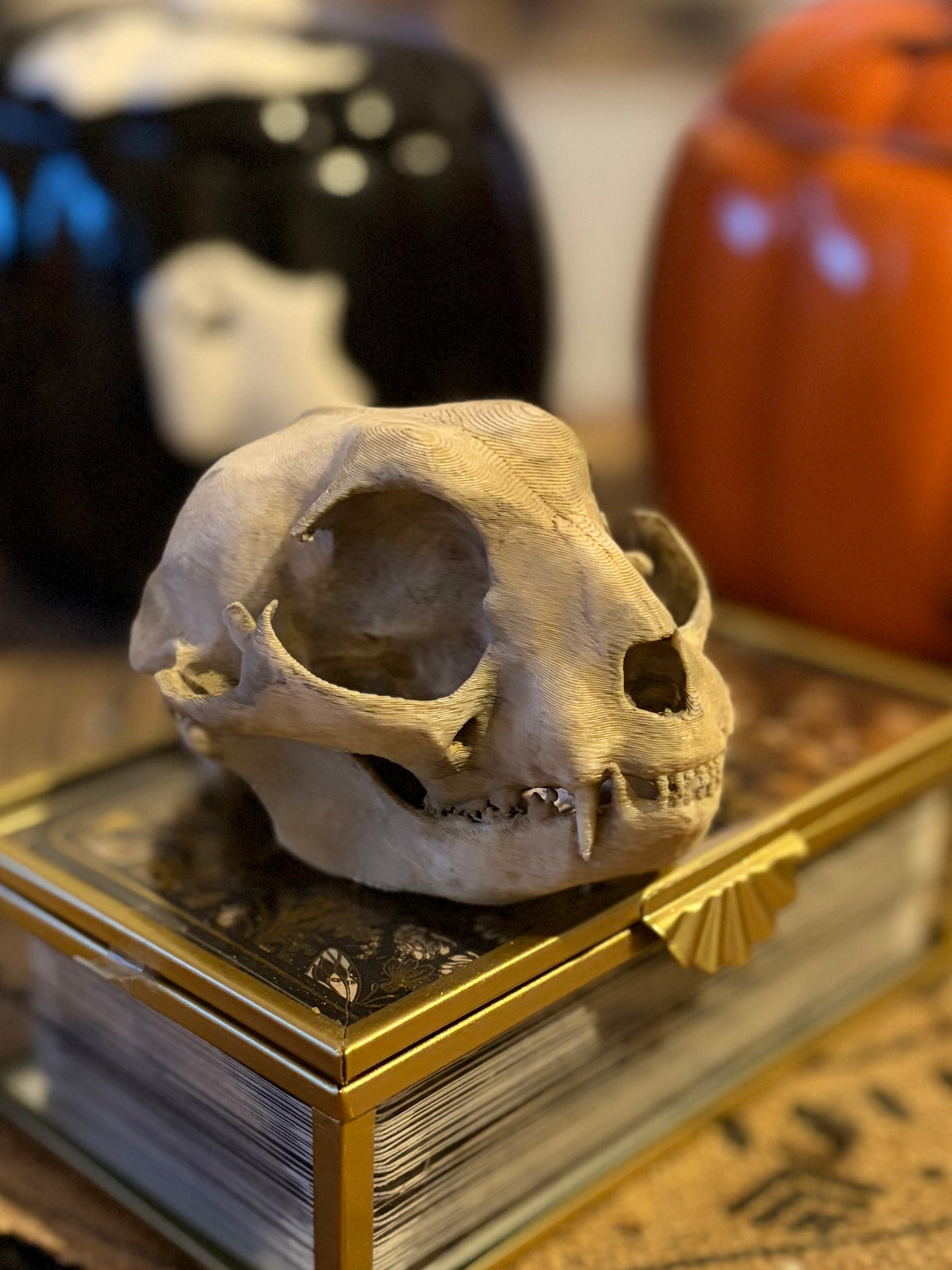 Crâne de Félin Effet Os Ancien - Réplique Décorative 3D