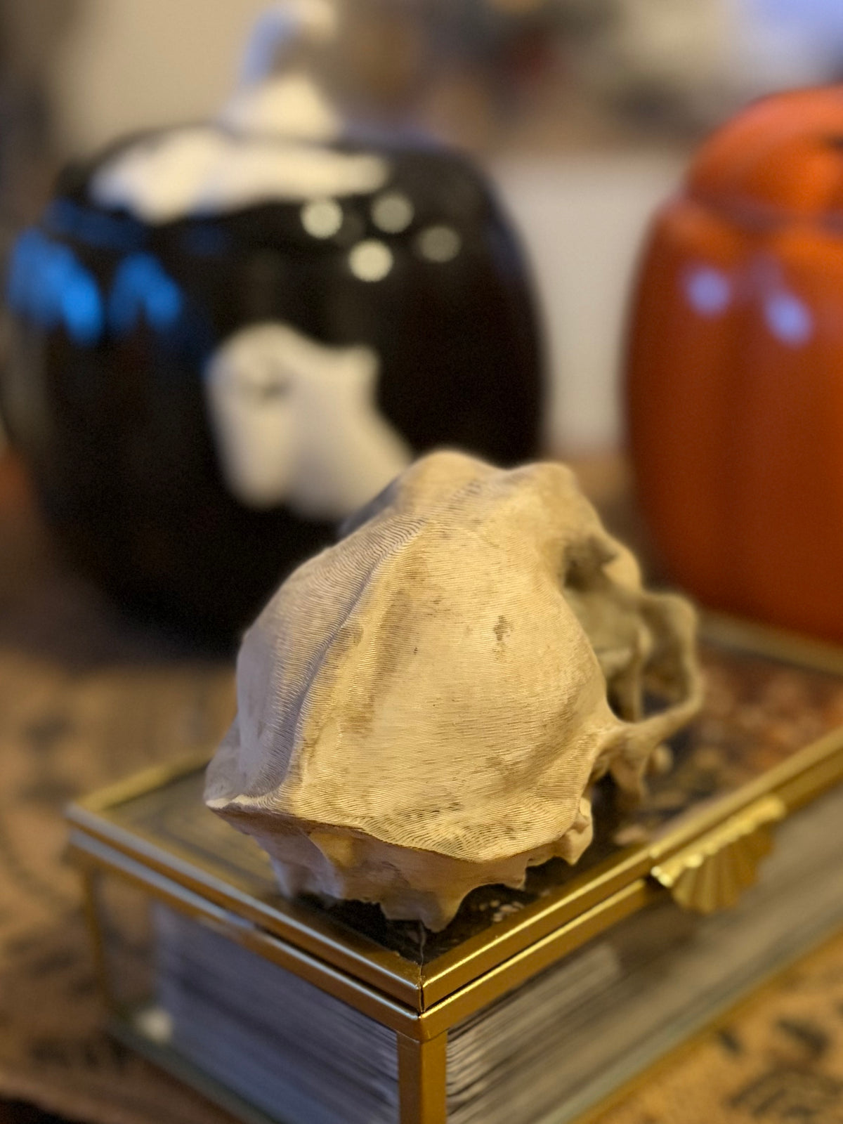 Crâne de Félin Effet Os Ancien - Réplique Décorative 3D