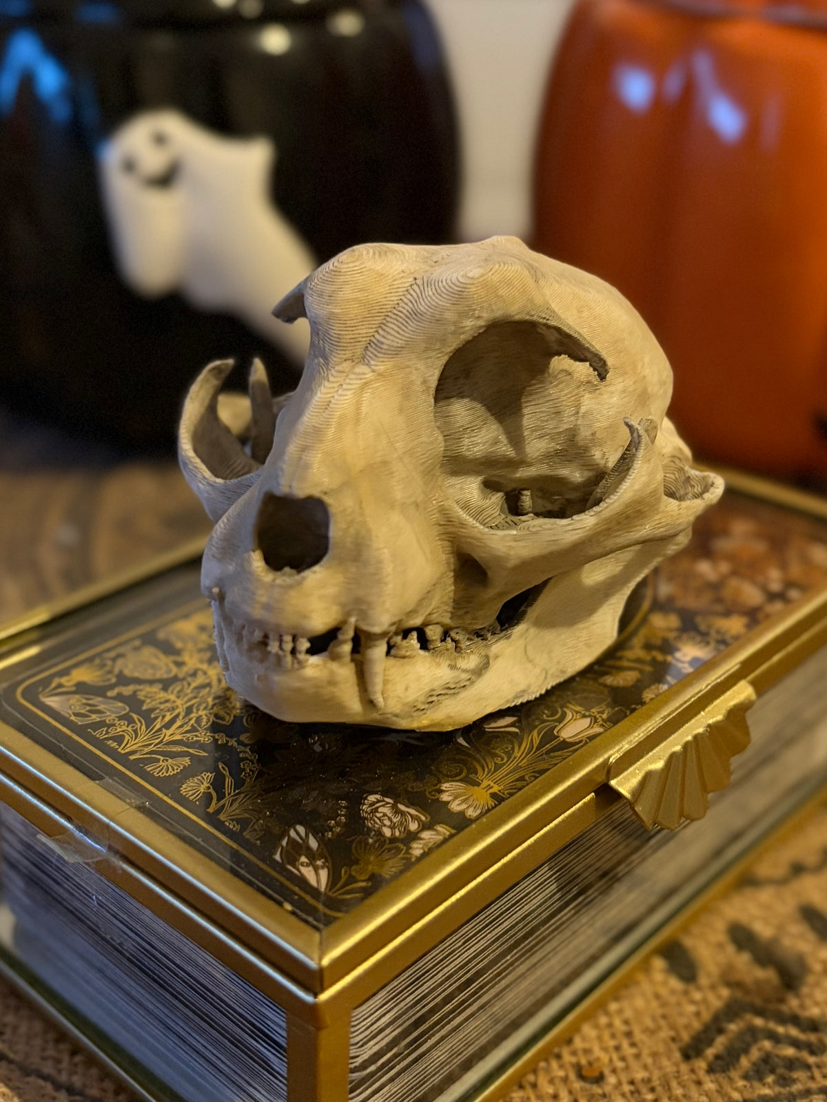 Crâne de Félin Effet Os Ancien - Réplique Décorative 3D